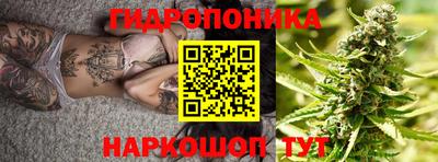 соль ск Пугачёв