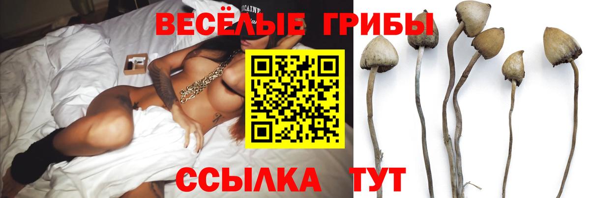 Галлюциногенные грибы ЛСД  Галлюциногенные грибы прущие грибы  Вход с VPN  Россия 